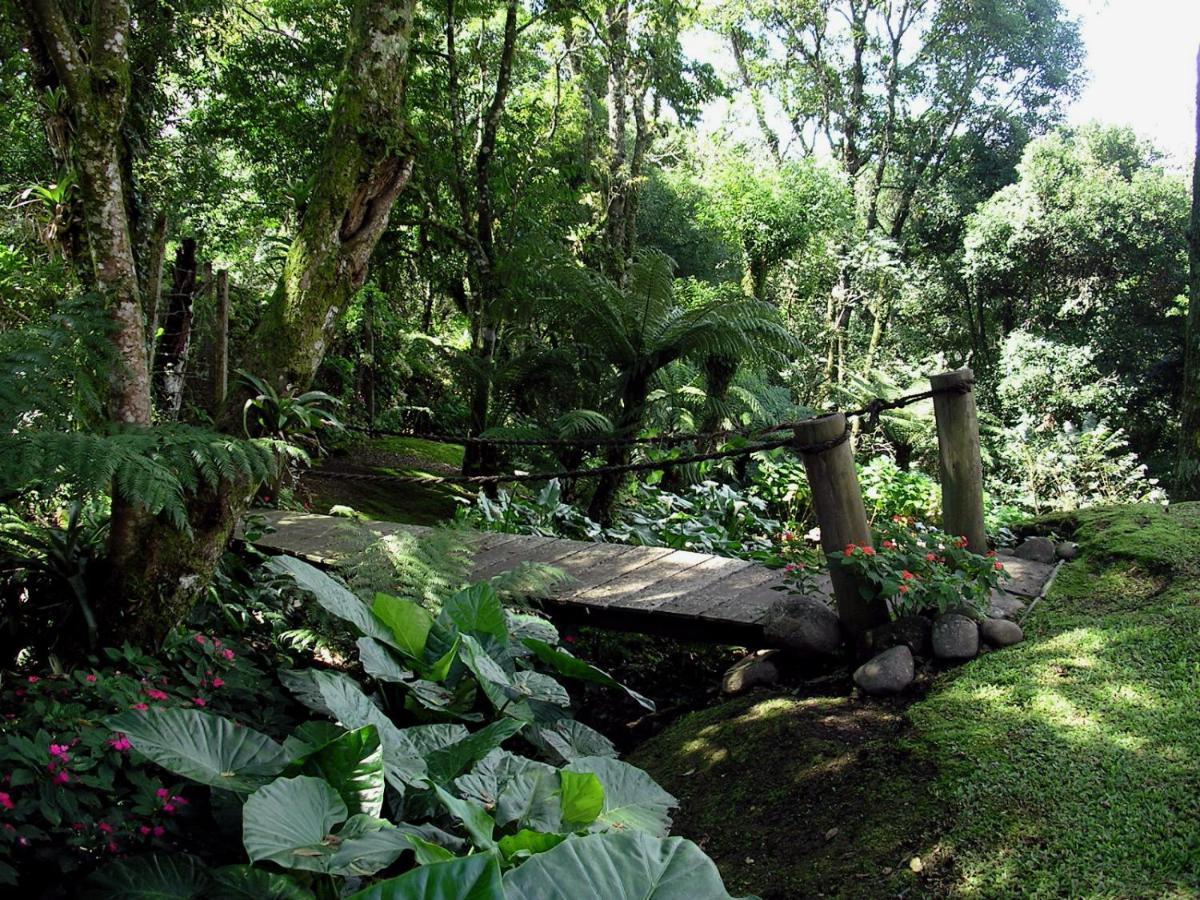 Aconchegante Duplex Para 6 Pessoas Gramado Exteriér fotografie